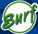 Surf DS 2