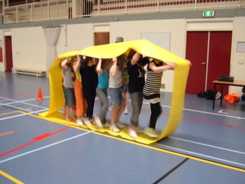 Verkleedpartijtraining en bonte avond Minis 2008